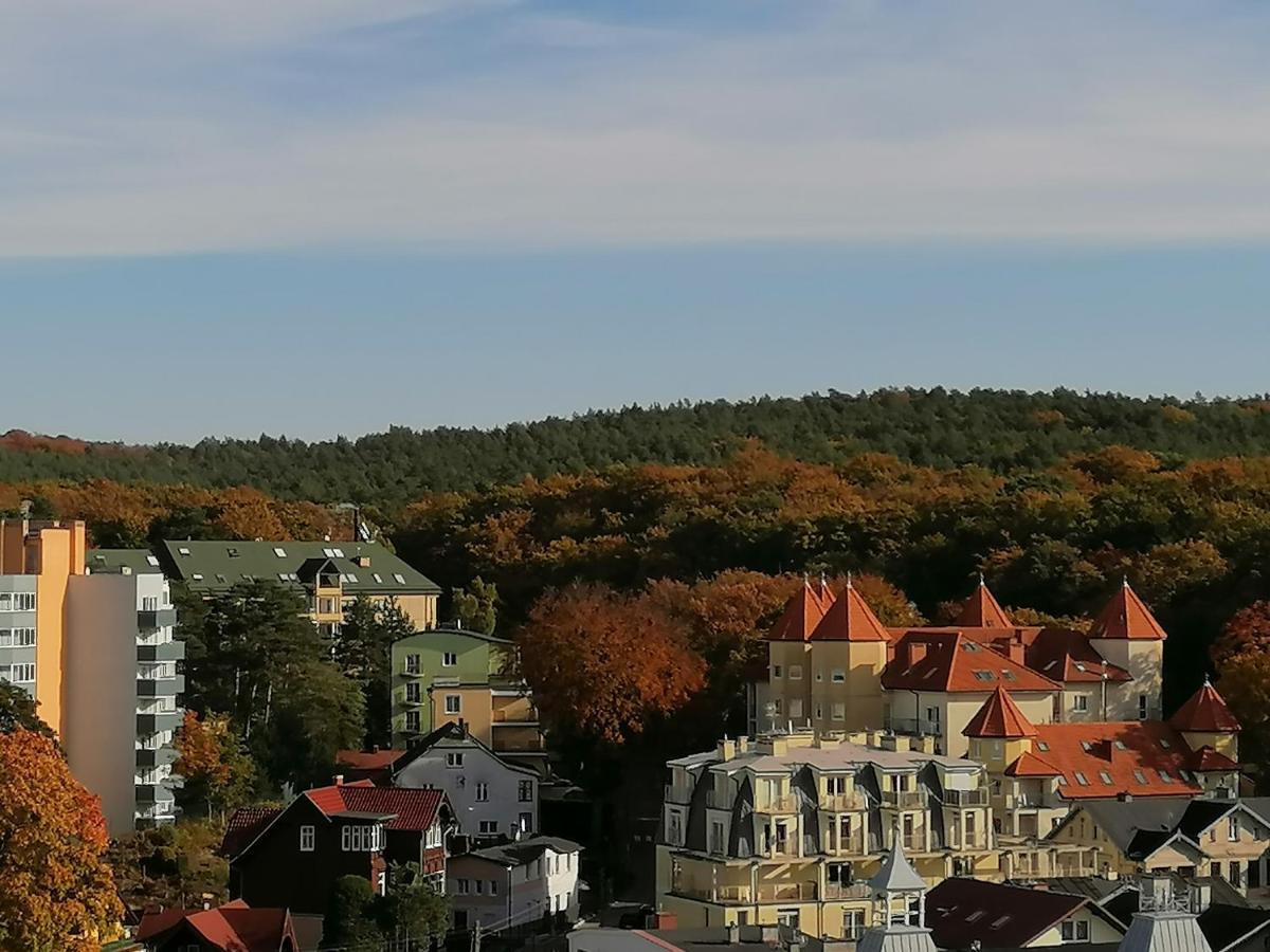 Orle Gniazdo Apartment *