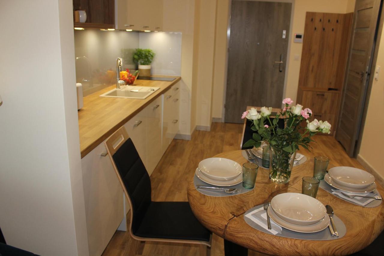 Orle Gniazdo Apartment *